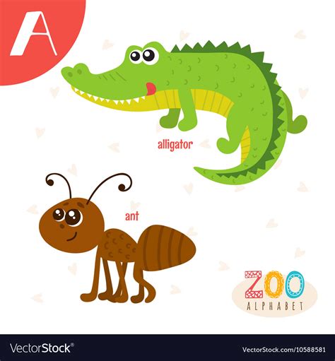 Letter a cute animals funny cartoon animals Vector Image