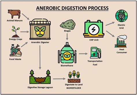 Anaerobic Digestion - KB BioEnergy