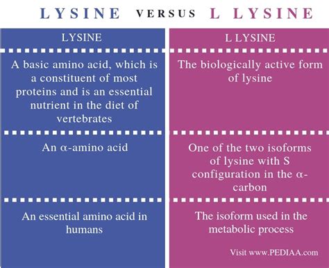 What is the Difference Between Lysine and L Lysine - Pediaa.Com