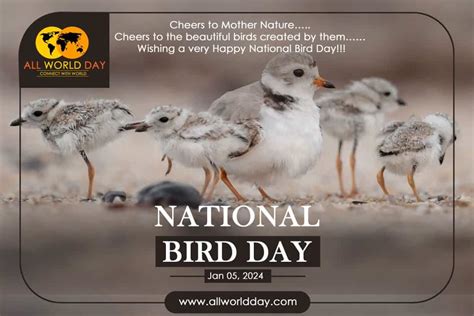 National Bird Day 2024 : Quotes, Theme, Activities