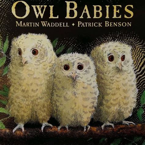 Therapeutic book review: Owl Babies by Martin Waddell | Baby owls, Owl ...