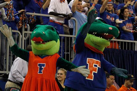 Florida Gators mascots Albert, Alberta getting new costumes - Alligator ...