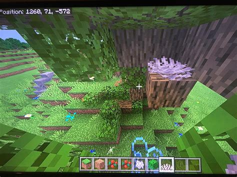 Dead coral can look like bird nests in trees : r/Minecraft