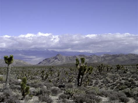 Nevada Desert Landscape Photos - art-floppy