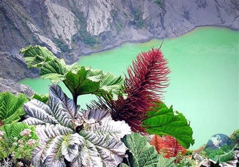 Irazu Volcano & National Park in Irazu, Costa Rica