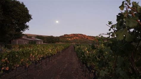 Napa’s Famed Atlas Peak Mountain Prospers After the Fires - in the Mix ...