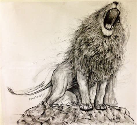 Lion Realistic Drawing at GetDrawings | Free download