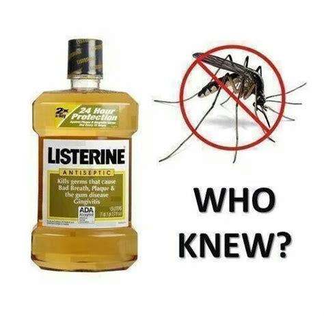 Mosquito/gnat repellent | Fun Facts & Helpful Hints | Pinterest ...