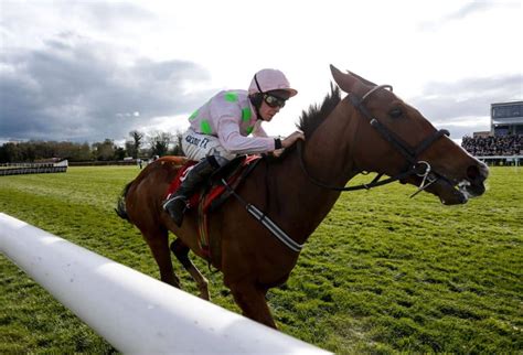 Five most backed Cheltenham horses over the weekend | Oddschecker