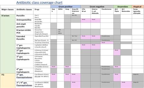 Antibiotic Coverage Chart - Etsy