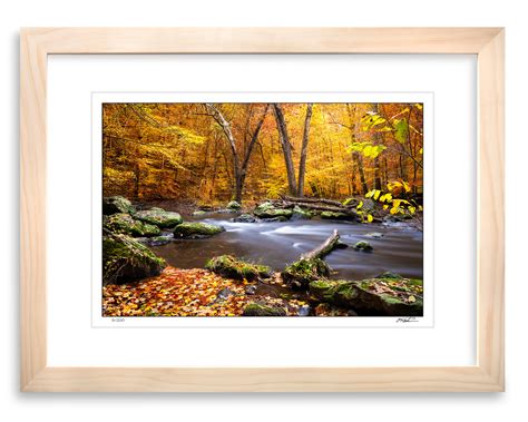 Framed Landscape Autumn Path, Limited Edition Framed Photography