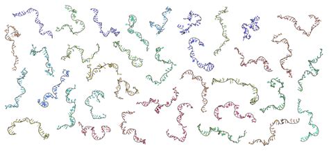 RNA Folding – Pollack Lab