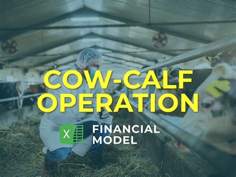 Cow Calf Operation Business Plan for Startup