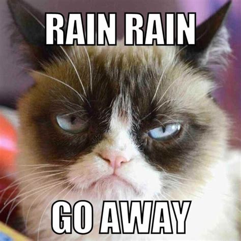 35 Funny Rain Memes To Shower You With Chuckles