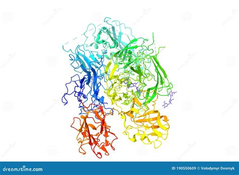 Tertiary Structure of Human Coagulation Factor VIII Stock Illustration ...