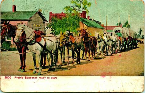 Prairie Schooner Ready to Start Covered Wagon Horses 1910s DB Postcard ...