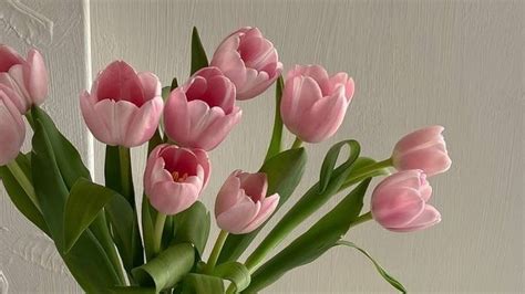 💖🌱🌷 pink tulips have my heart. | Flower desktop wallpaper, Pink ...