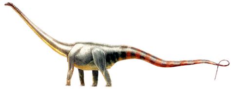 1000+ images about Seismosaurus (Jurassic) on Pinterest