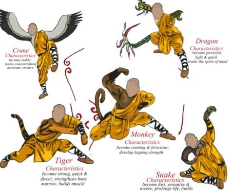 5-animal-styles_shao-lin-kung-fu - Learn Shaolin Kungfu in China