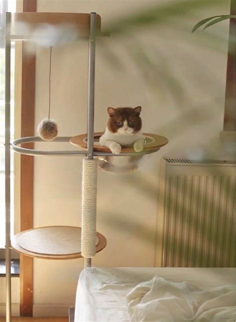 Minimalist Cat Tree House Condo Capsule Hammock, Pet Supplies, Homes ...