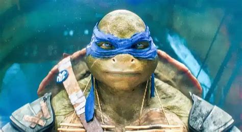 Teenage Mutant Ninja Turtles Names: The Origins And Meanings