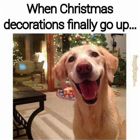 Christmas Decorating Memes 2023 Best Perfect Most Popular Famous ...