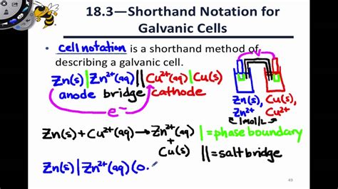 Cell Notation Is Used to Describe Which of the Following