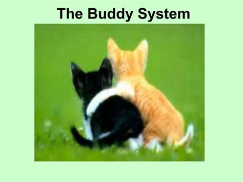 BUDDY SYSTEM | PPT