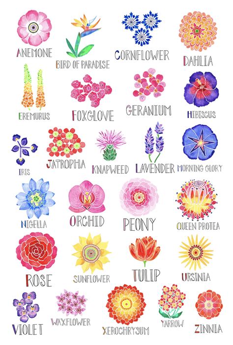 Floral Alphabet Poster | Flower painting, Flower art, Flower types chart