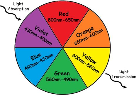 Wavelength Color Chart