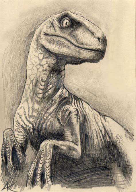 Velociraptor Pencil Sketch by Nookawolf on DeviantArt