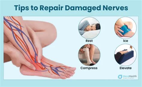 How to Repair Damaged Nerves Naturally?