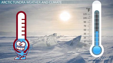 Arctic Tundra | Climate, Location & Average Temperature - Lesson ...