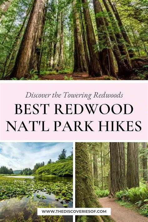 16 Best Hikes in Redwood National Park — The Discoveries Of