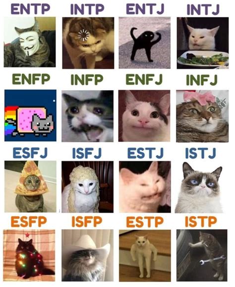 🙌 mbti memes every day on Instagram: “Check who's tagged & follow ...