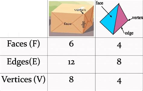 Cone Faces Edges Vertices, NCERT Class 8 Mathematics Solutions: Chapter ...