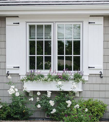 Wooden Window Shutters Exterior