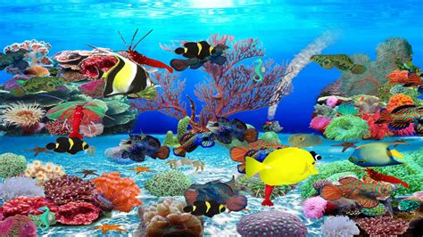 Marine aquarium screensaver free download - liftulsd