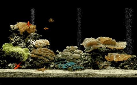 Free Aquarium Screensaver - 無料・ダウンロード