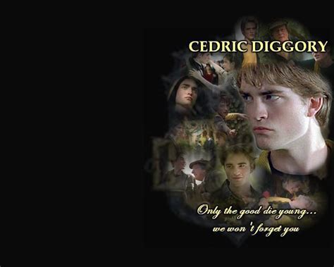 Cedric Diggory - Cedric Diggory Photo (1273521) - Fanpop