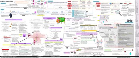 Pathophysiology Of Diabetes Type 2 Concept Map - DiabetesWalls