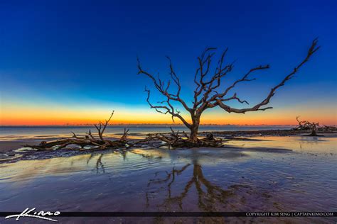 Sunrise at Driftwood Beach Jekyll Island Georgia | Royal Stock Photo