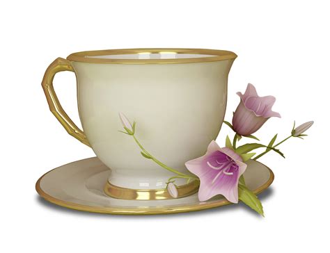 Tea Cup - ClipArt Best