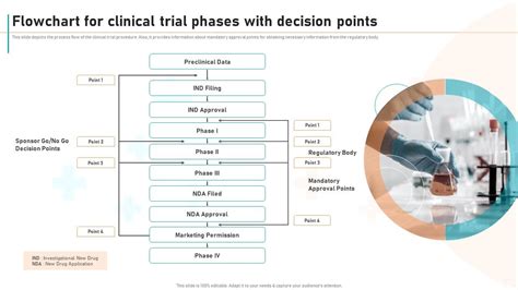 New Drug Development Process Flowchart For Clinical Trial Phases With ...