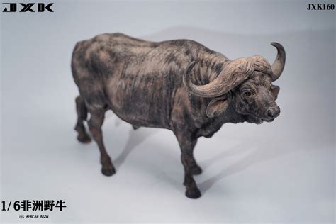 African Bison | HLJ.com