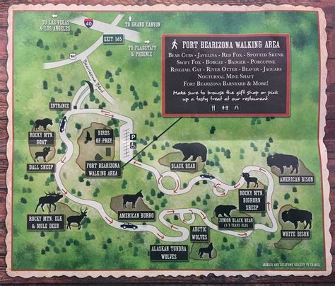 bearizona wildlife park map | Grand canyon road trips, Arizona day ...