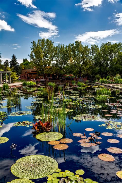 Botanic Gardens in Denver, Colorado image - Free stock photo - Public ...