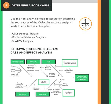 CAPA Process: Step-by-Step Instructions [+ Free Infographic]