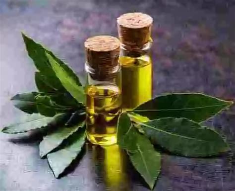 Aromatherapy Oils for Cosmetic and Therapeutic Grade