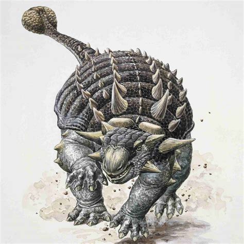 Facts About Ankylosaurus, the Armored Dinosaur